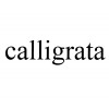 Calligrata