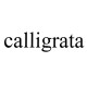 Calligrata