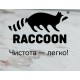 Raccoon